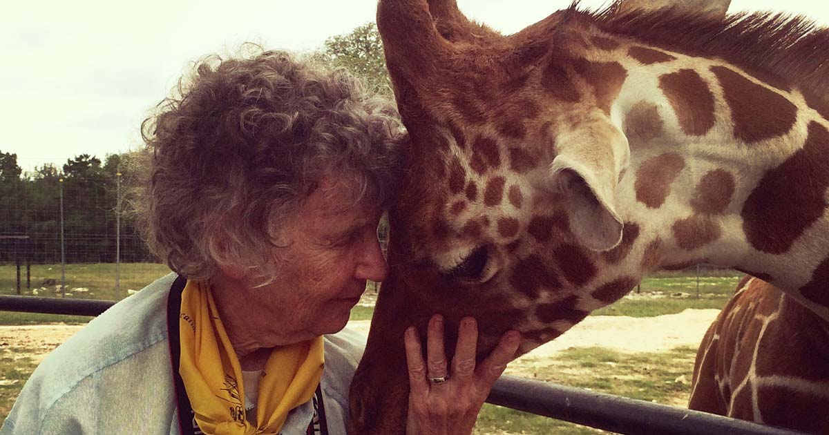 HOME | The Woman Who Loves Giraffes